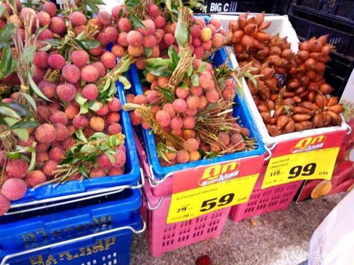 南方一种满身 蛇皮 的水果,味道酸涩难吃,28元一斤成珍贵水果